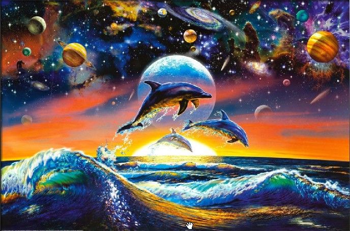 Sea life Dolphin Universe